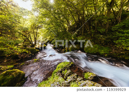 Tateshina Otaki Falls in Japan 119399929