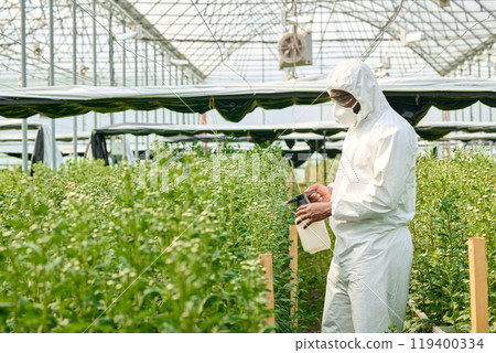 Wide angle view at worker wearing protective suit spraying chemicals on green plants while working in industrial greenhouse copy space Wide angle view at worker wearing protective suit spraying chemicals on green plants while working in industrial greenhouse copy space 119400334