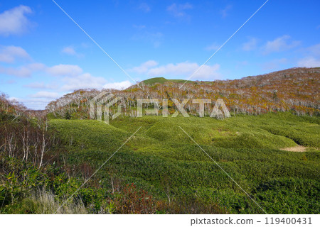 Oyachi (Niseko Shinsen-numa Natural Recreation Forest) 119400431