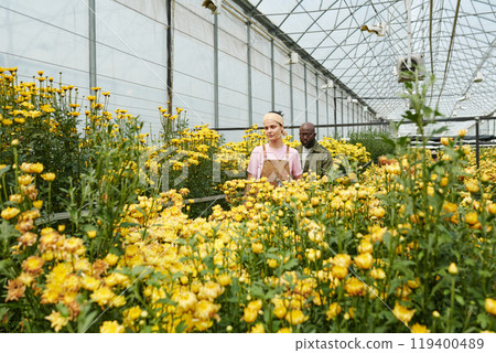 Wide angle view at glass greenhouse plantation with yellow flowers and two people as gardeners walking between flowerbeds copy space 119400489
