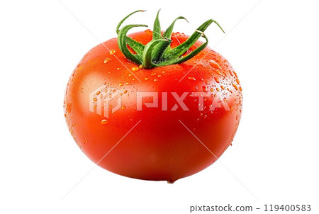 Photorealistic wet red tomato isolated on a transparent background. Fresh tomato with drops. Side view. Organic fruit design element PNG cutout. Garden Lifestyle. Food, cooking, vegetable diet concept Photorealistic wet red tomato isolated on a transparent background. Fresh tomato with drops. Side view. Organic fruit design element PNG cutout. Garden Lifestyle. Food, cooking, vegetable diet concept 119400583