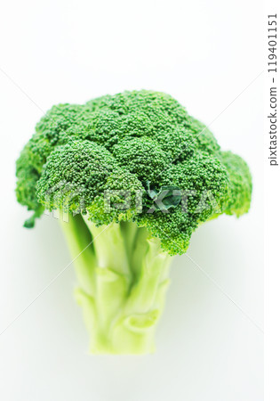 Broccoli (white background) Broccoli (white background) 119401151