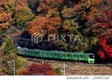 京王8000系列高雄列車8713F穿過秋葉 京王8000系列高雄列車8713F穿過秋葉 119401180