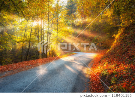 Road in orange forest in fog and sunbeams at sunrise in autumn 119401195