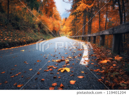 Road with fallen leaves in beautiful forest in golden autumn Road with fallen leaves in beautiful forest in golden autumn 119401204