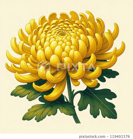 一朵粗菊花 一朵粗菊花 119401576