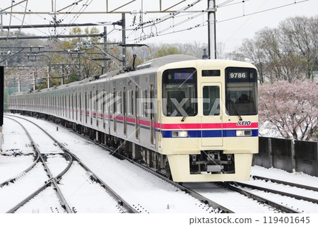 Keio 9000 series 9736F running alongside snow-covered tracks and blooming cherry blossoms Keio 9000 series 9736F running alongside snow-covered tracks and blooming cherry blossoms 119401645