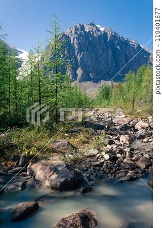 stream and coniferous forest against the backdrop of a high mountain in Altai 119401877