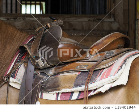 touring horse inside a stable 119401944