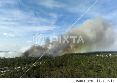Dangerous wildfire burning severely in Florida jungle woods. Hot flames in dense forest. Toxic smoke polluting atmosphere Dangerous wildfire burning severely in Florida jungle woods. Hot flames in dense forest. Toxic smoke polluting atmosphere 119402012