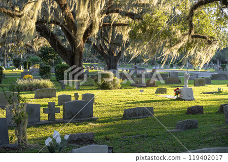 Death and funeral concept. American cemetery with rows of tombstones under southern oak trees on green grass in Orlando, Florida 119402017