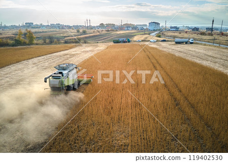 Aerial view of combine harvester working during harvesting season on large ripe wheat field. Agriculture concept Aerial view of combine harvester working during harvesting season on large ripe wheat field. Agriculture concept 119402530