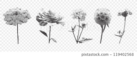 Set of retro photocopy flowers on transparent background. Rose, meadow flower. Vintage stipple effect. 119402568