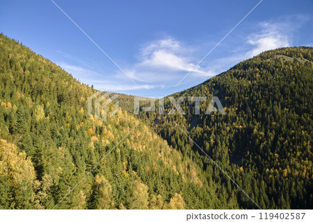 Aerial view of high hills with dark pine forest trees at autumn bright day. Amazing scenery of wild mountain woodland 119402587