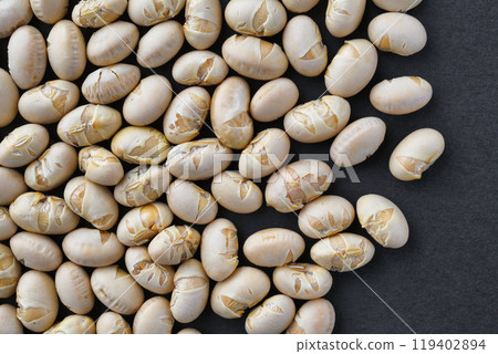 節分豆 節分豆 119402894