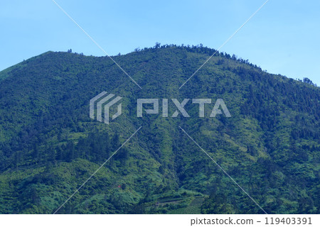 Lush green hills with terraced fields, scattered trees, and a small huts. 119403391