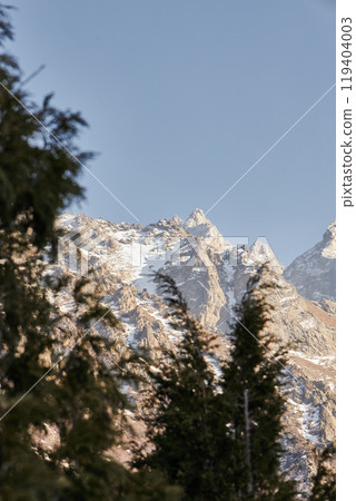 View of rocky mountain in snow through the blurred branches of coniferous trees View of rocky mountain in snow through the blurred branches of coniferous trees 119404003