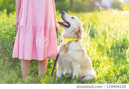 Golden retriever dog sitting near girl Golden retriever dog sitting near girl 119404226