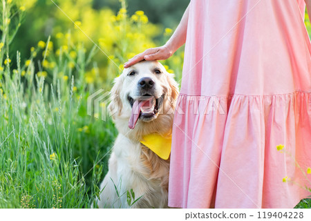 Happy golden retriever dog Happy golden retriever dog 119404228