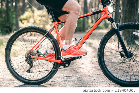 Man riding bicycle through sunny forest Man riding bicycle through sunny forest 119404305
