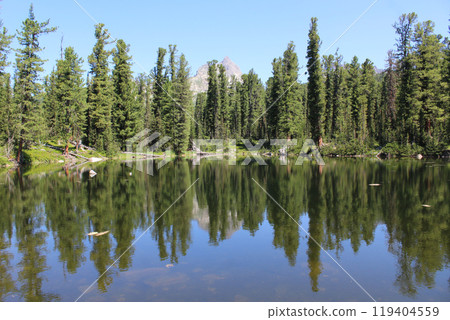 Pond surrounded by cedar forest. Mountain lake Medvezhye in Ergaki nature park, Siberia, Krasnoyarsk region, Russia Pond surrounded by cedar forest. Mountain lake Medvezhye in Ergaki nature park, Siberia, Krasnoyarsk region, Russia 119404559