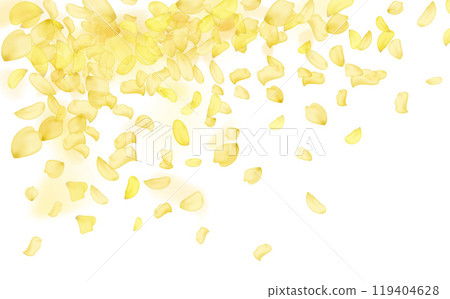 Amber flower spring template.Yellow falling rose or sunflowers petals. 119404628