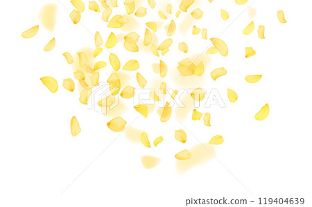 Amber flower spring template.Yellow falling rose or sunflowers petals. Amber flower spring template.Yellow falling rose or sunflowers petals. 119404639