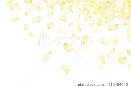 Amber flower spring template.Yellow falling rose or sunflowers petals. 119404640