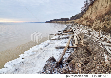 A lot of driftwood, coastal destruction. Trees fallen from cliff lie on seashore A lot of driftwood, coastal destruction. Trees fallen from cliff lie on seashore 119404816