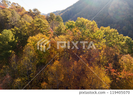Appalachian mountain hills on autumn evening with brightly illuminated lush and pine woods at fall season. Autumnal landscape of beautiful nature Appalachian mountain hills on autumn evening with brightly illuminated lush and pine woods at fall season. Autumnal landscape of beautiful nature 119405070