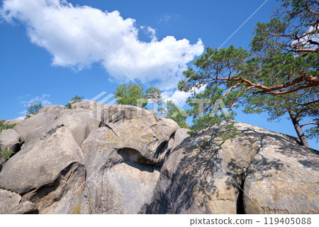 Big old pine tree growing on rocky mountain top under blue sky on summer mountain view background Big old pine tree growing on rocky mountain top under blue sky on summer mountain view background 119405088