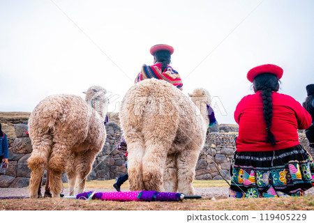 White lamas near women in Sacsayhuaman 119405229