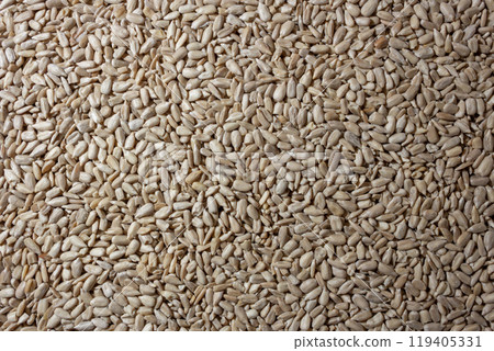 Peeled Sunflower Seeds Background 119405331