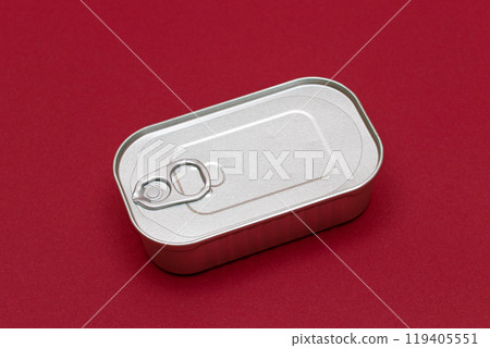 Unopened Tin Can with Blank Edge on Red Background 119405551