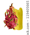Pitaya slices, watercolor stain. Hand drawn watercolor illustration of ripe exotic dragon fruit for background, card, design, print 119405665