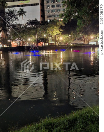 台中公園的夜景 119406179