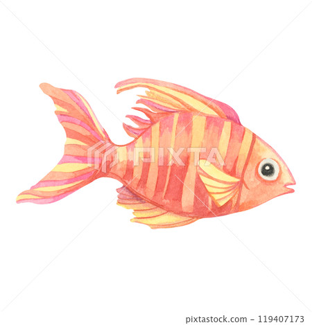 Red and orange tropical fish with a striped body. Isolated tiger barb watercolor clipart for childrens storybooks, ocean-themed stationery, or playful aquatic decorations for products Red and orange tropical fish with a striped body. Isolated tiger barb watercolor clipart for childrens storybooks, ocean-themed stationery, or playful aquatic decorations for products 119407173