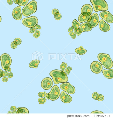 Green Chlorella algae cells on light blue background. Watercolor seaweed seamless pattern clipart. Ideal for creating designs related to health supplements, eco-friendly products, infographics on 119407505