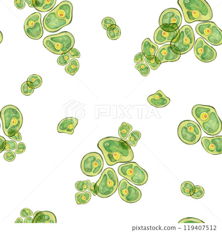 Green Chlorella algae cells. Watercolor seaweed seamless pattern clipart. Ideal for creating designs related to health supplements, eco-friendly products, or educational infographics on algae Green Chlorella algae cells. Watercolor seaweed seamless pattern clipart. Ideal for creating designs related to health supplements, eco-friendly products, or educational infographics on algae 119407512