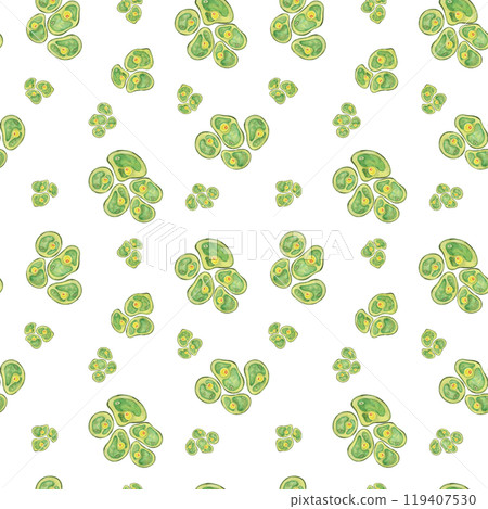 Chlorella algae cells. Watercolor seaweed seamless pattern clipart. Perfect for use in health and nutrition product designs, eco-friendly branding, or background patterns in educational materials Chlorella algae cells. Watercolor seaweed seamless pattern clipart. Perfect for use in health and nutrition product designs, eco-friendly branding, or background patterns in educational materials 119407530