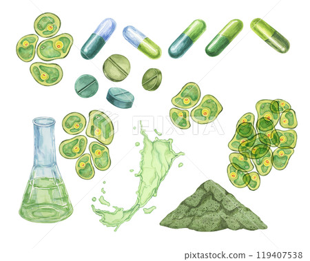 Chlorella algae cells, capsules, pills, powder and lab flask with seaweed extract. Watercolor clipart set. Ideal for use in health product packaging, wellness branding, or nutritional supplements 119407538