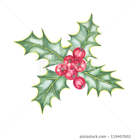 A detailed watercolor illustration of holly leaves with red berries. Great for use in Christmas greeting cards, winter-themed gift wraps, seasonal product labels, or digital holiday invites A detailed watercolor illustration of holly leaves with red berries. Great for use in Christmas greeting cards, winter-themed gift wraps, seasonal product labels, or digital holiday invites 119407602