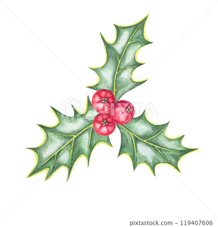 A cluster of holly leaves and red berries in watercolor. This ilex hand drawn clipart is perfect for adding a festive touch to product labels, party invitations, Christmas scrapbooking, or web design 119407606