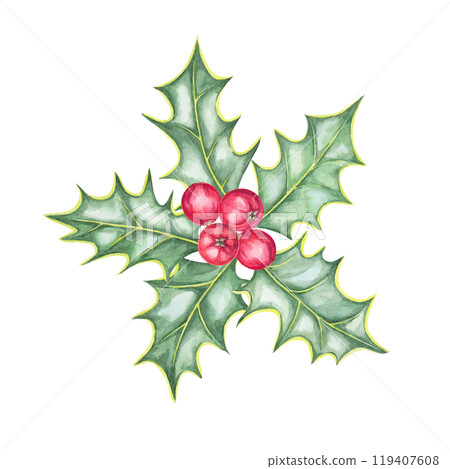 Holly with five green leaves and red berries. Isolated watercolor illustration. Hand drawn Ilex clipart for Christmas cards, festive stationery, winter-themed merchandise, or seasonal apparel prints 119407608