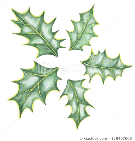A watercolor clipart of five green holly leaves with sharp edges. Isolated design element. Ilex illustration for Christmas-themed designs, wrapping paper, greeting cards, or festive digital decor 119407609