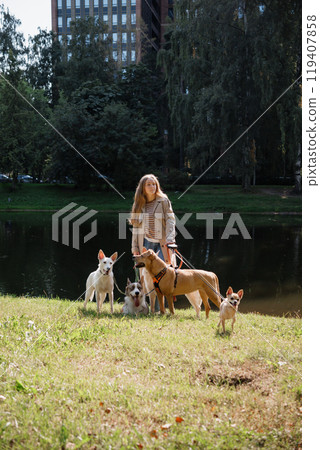 oung female dog sitter walks with dogs in park by lake. concept of friendship, pet, recreation. oung female dog sitter walks with dogs in park by lake. concept of friendship, pet, recreation. 119407858