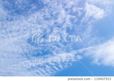 秋天的天空 119407915