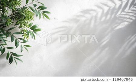 Minimalistic light background with blurred foliage shadow on white wall 119407946