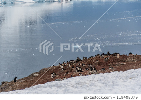 Landscape of the Antarctic Peninsula 119408379
