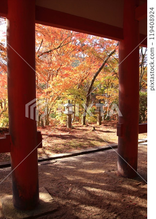 Tanzan Shrine, a famous spot for cherry blossoms and autumn leaves in Nara Tanzan Shrine, a famous spot for cherry blossoms and autumn leaves in Nara 119408924